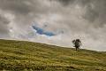 2017_08_11_Auvergne (0047)